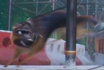 Файл:ZMk4s71aONcw5E5kaNWcC3hyo dmxJIbJIV4xOUDwm4bfW0P2sayGypA9or3s-PVaaQJo iv5uLghMH-w 6gYKoD.jpg