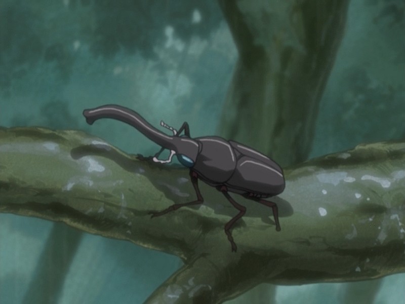 Файл:Bikochu Beetle-.JPG