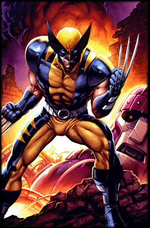 Файл:Wolverine x.jpg