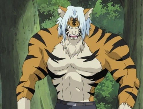 Файл:Mizuki's Tiger Transformation.JPG
