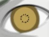 Глаза Дзэцу: Было показано что Дзэцу, обладают способностью фиксировать события, используя свои глаза. Эти записи впоследствии могут быть воспроизведены для просмотра через неизвестное средство.[2][3][4]