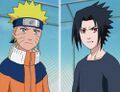 Миниатюра для Файл:The Battle Begins Naruto vs. Sasuke.JPG