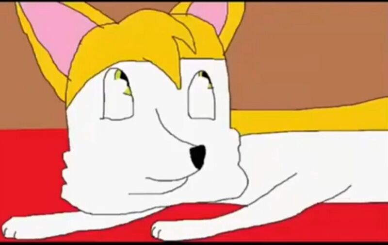 Файл:Вилли (брат Лайки).jpg