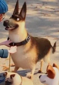 Немецкая овчарка (Тайная жизнь домашних животных)