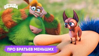 Про братьев меньших