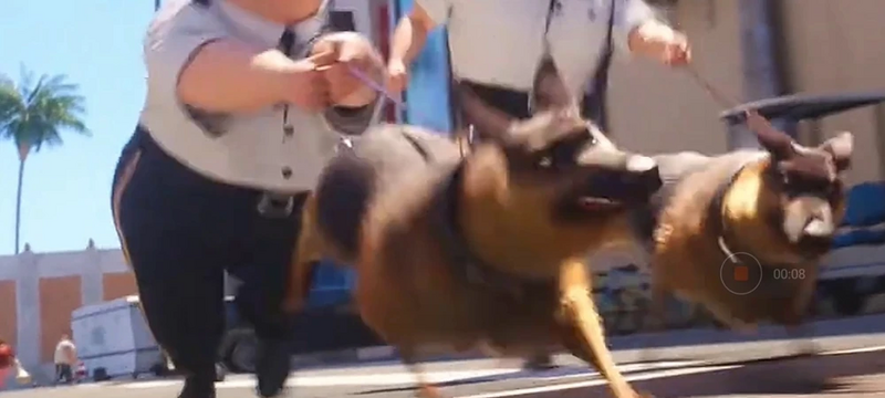 Файл:German Shepherds.webp