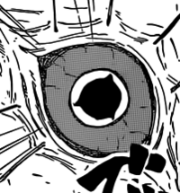 The Father's Mangeky Sharingan.png