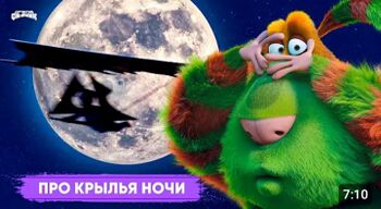 Про крылья ночи