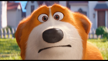 Корги (Миньоны против газона)