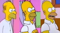 Evolution of Homer.jpg